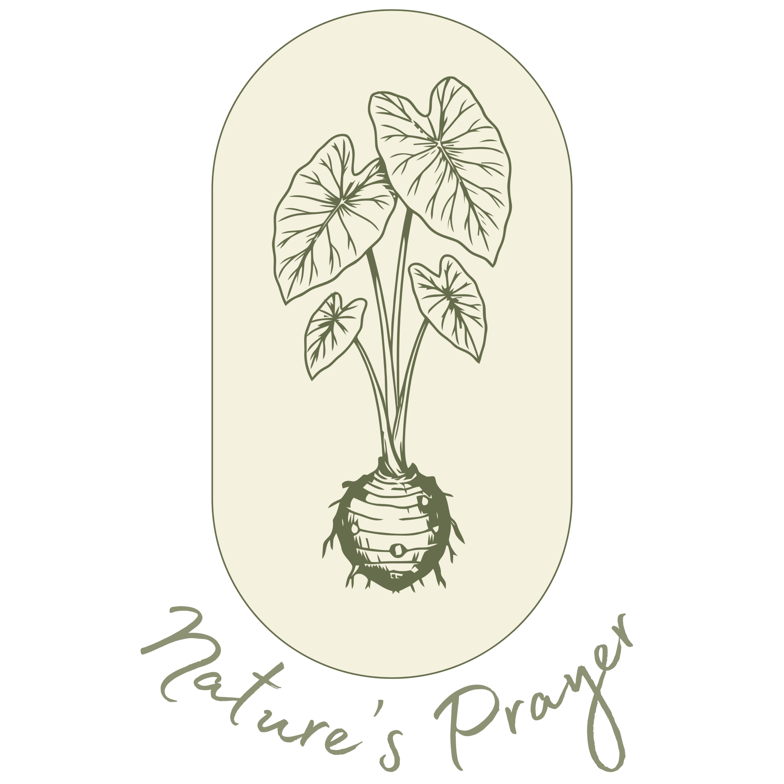 np logo 2.0
